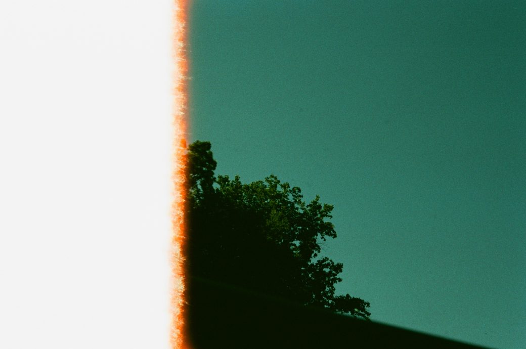 Foto p&aring; ett tr&auml;d d&ouml;ljs delvis av ett ljusl&auml;ckage.